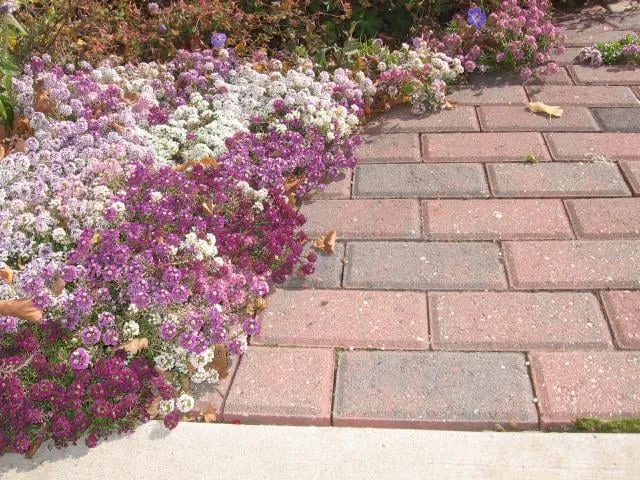 Reliable yard cleanup service for outdoor upgrades in Bonduel, WI by Landscape Renaissance