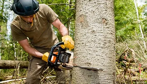 Reliable garden landscaping in Camas, WA - Landscape Rescue