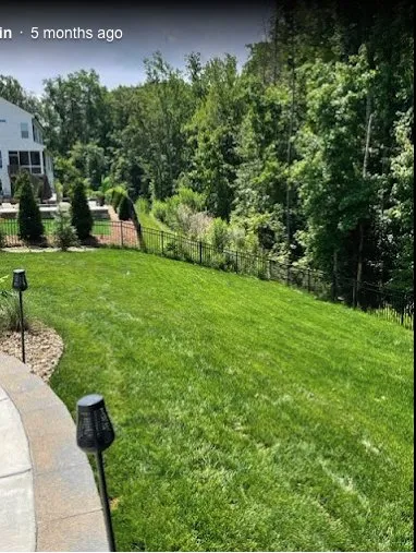 Expert yard cleanup service experts serving Rock Hill, SC - Landscape Rescue