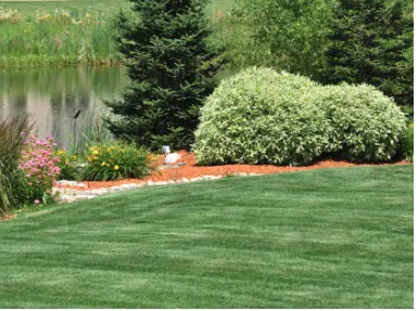 Trusted garden landscaping experts serving Rock Hill, SC - Landscape Rescue
