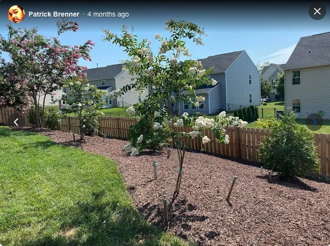 Top-rated landscaping services experts serving Rock Hill, SC - Landscape Rescue