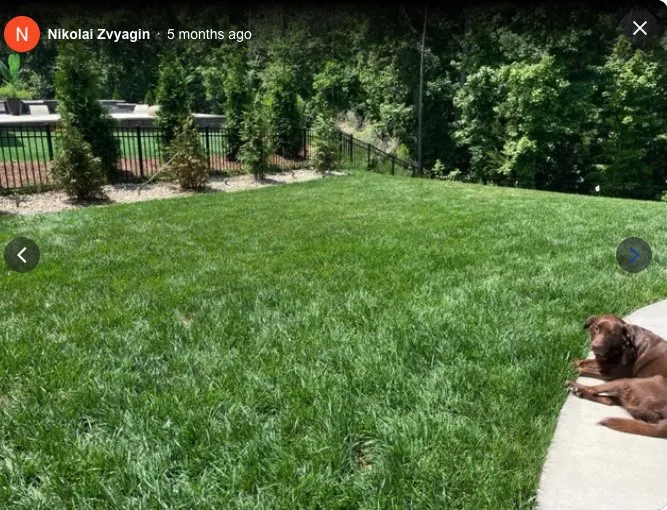 Expert yard cleanup service in Rock Hill, SC - Landscape Rescue