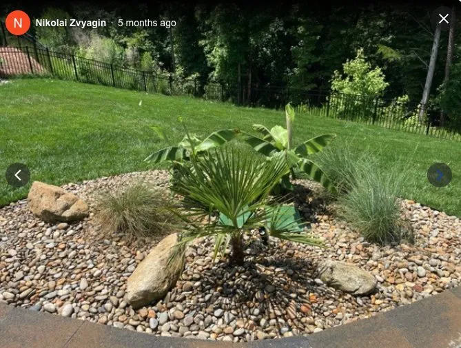 Top-rated outdoor landscaping for year-round maintenance across Rock Hill, SC - Landscape Rescue