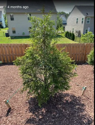 Local residential landscaping experts serving Rock Hill, SC - Landscape Rescue