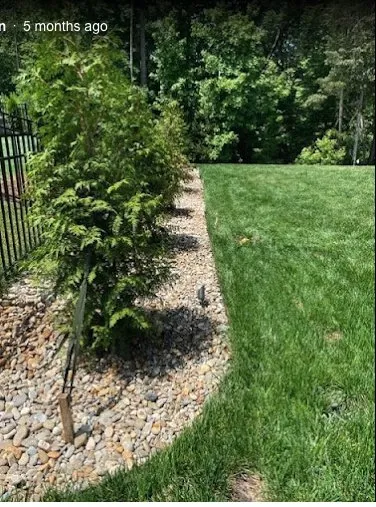 Professional lawn care service in Rock Hill, SC by Landscape Rescue