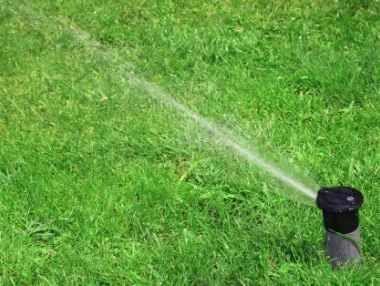 Reliable lawn care service in Rock Hill, SC by Landscape Rescue