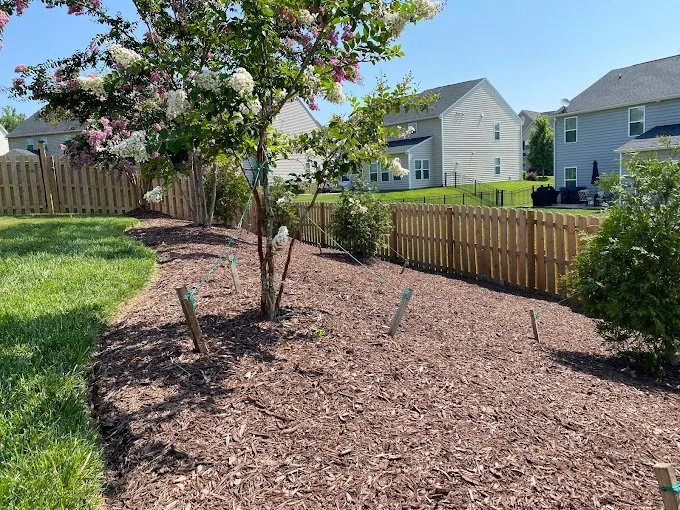 Affordable yard maintenance experts serving Rock Hill, SC - Landscape Rescue