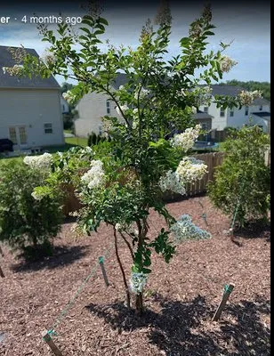Landscape Rescue Logo