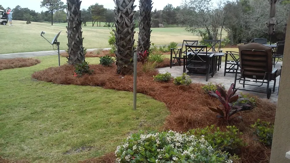 Custom yard maintenance experts serving Destin, FL - Landscape Restorations