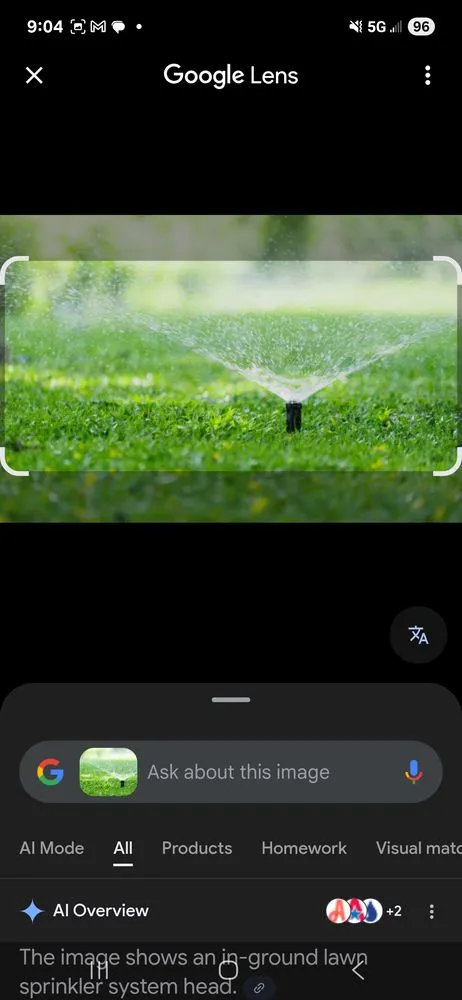 Affordable lawn care service experts serving Maui, HI - Landscape Restorators
