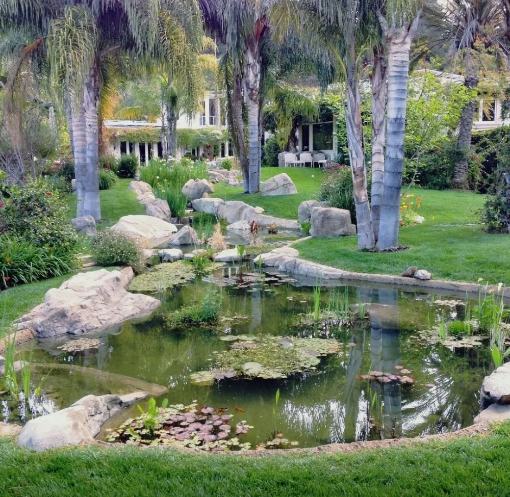 Expert outdoor landscaping for beautiful yards across Arcadia, CA - Landscape Rockscape Poolscape Designs