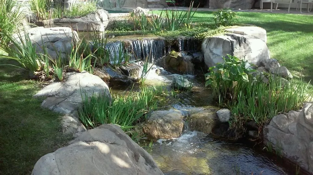 Affordable lawn care service experts serving Arcadia, CA - Landscape Rockscape Poolscape Designs