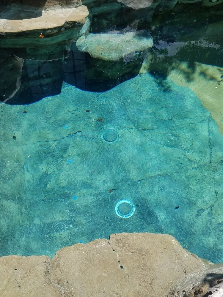 Local lawn mowing service for beautiful yards across Arcadia, CA - Landscape Rockscape Poolscape Designs