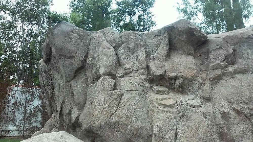 Professional yard maintenance in Arcadia, CA - Landscape Rockscape Poolscape Designs