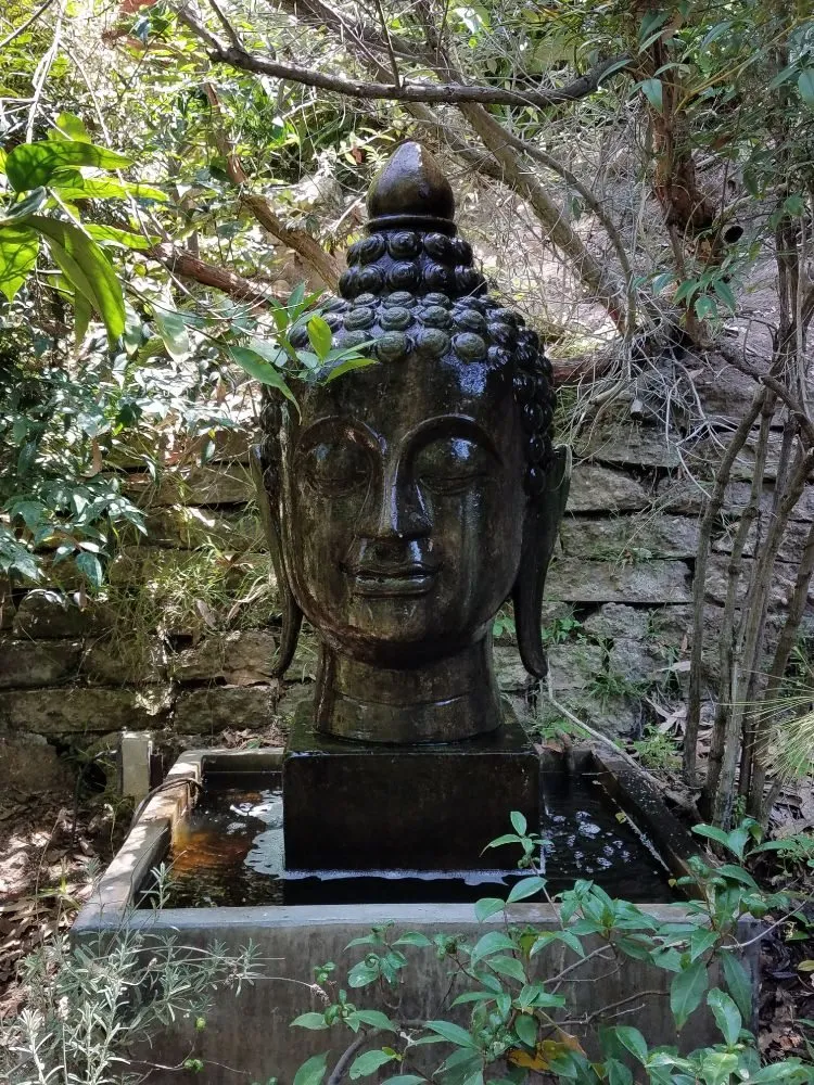 Local landscape installation in Arcadia, CA by Landscape Rockscape Poolscape Designs