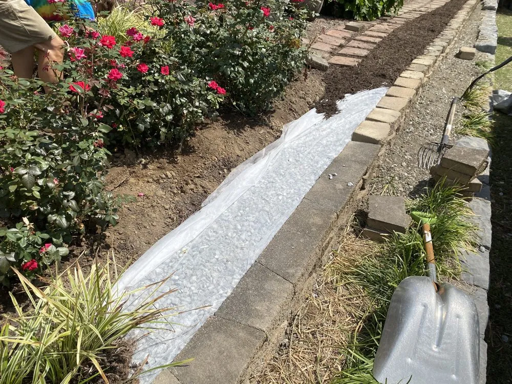 Reliable landscaping services for residential properties in Glen Allen, VA by Landscape Science