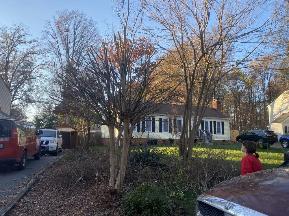 Professional yard cleanup service for homes in Glen Allen, VA by Landscape Science