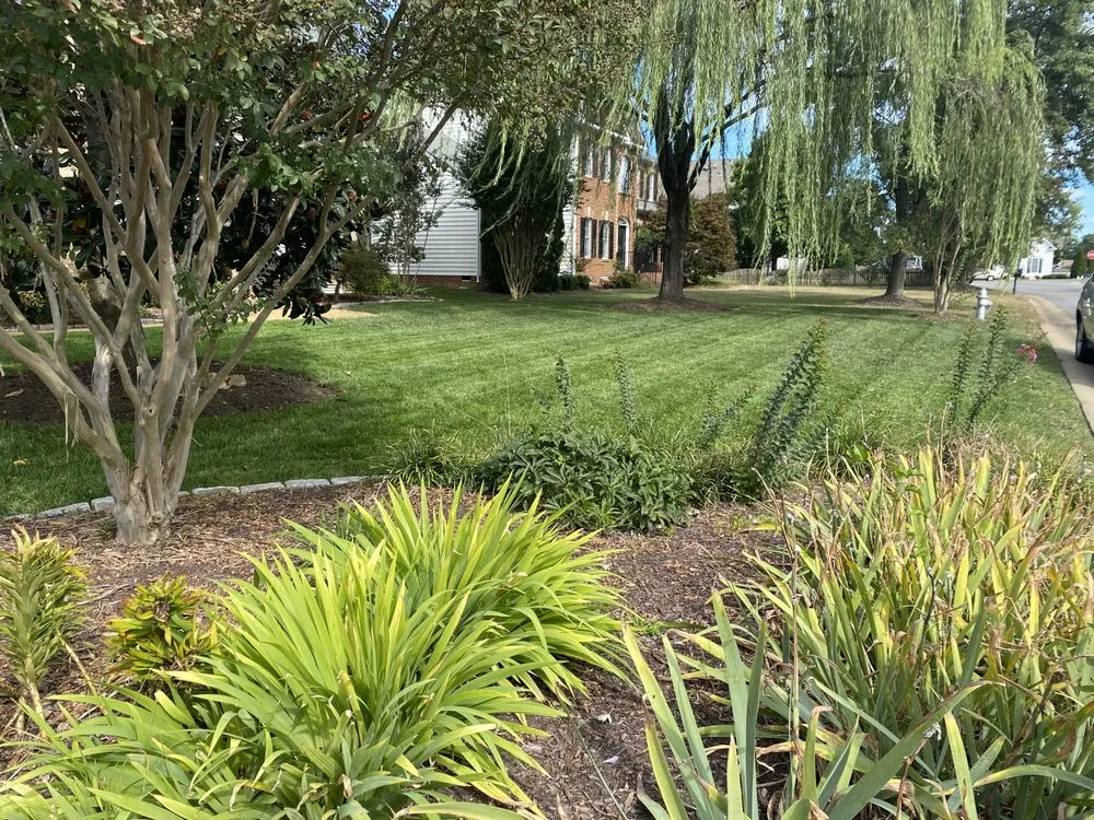 Local landscape installation for year-round maintenance in Glen Allen, VA by Landscape Science
