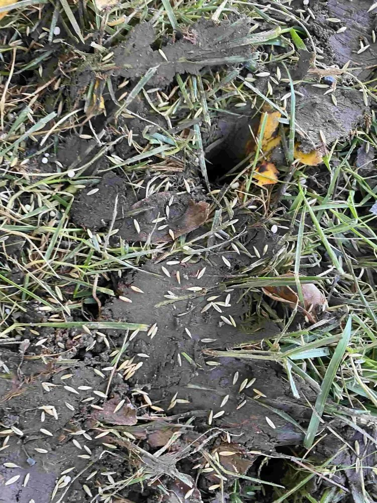 Trusted garden landscaping for homes across Glen Allen, VA - Landscape Science