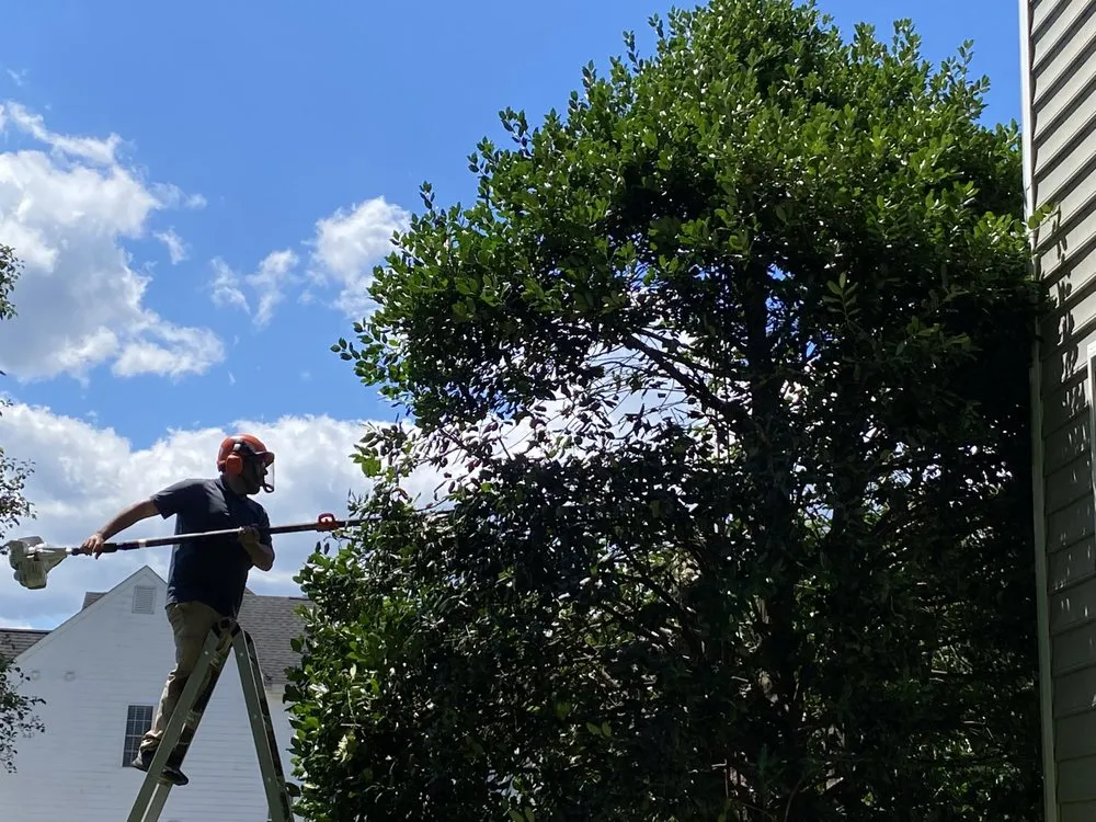 Trusted outdoor landscaping in Glen Allen, VA - Landscape Science