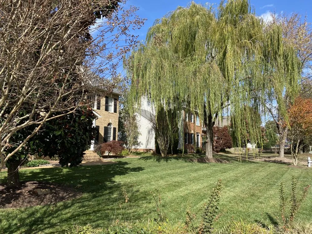 Professional residential landscaping experts serving Glen Allen, VA - Landscape Science