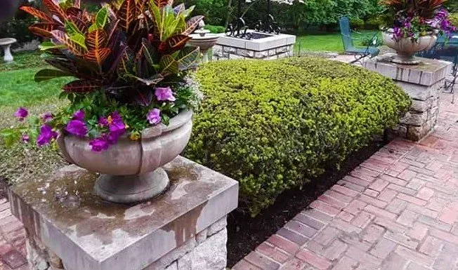 Trusted yard cleanup service experts serving Gardner, KS - Landscape Service