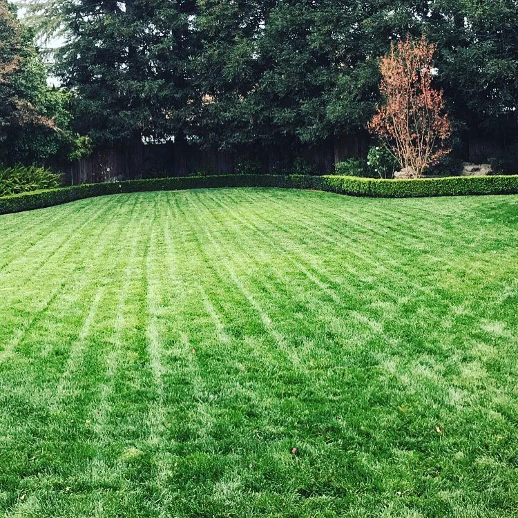 Professional landscaping services for residential properties in Fresno, CA by Landscape Service Plus