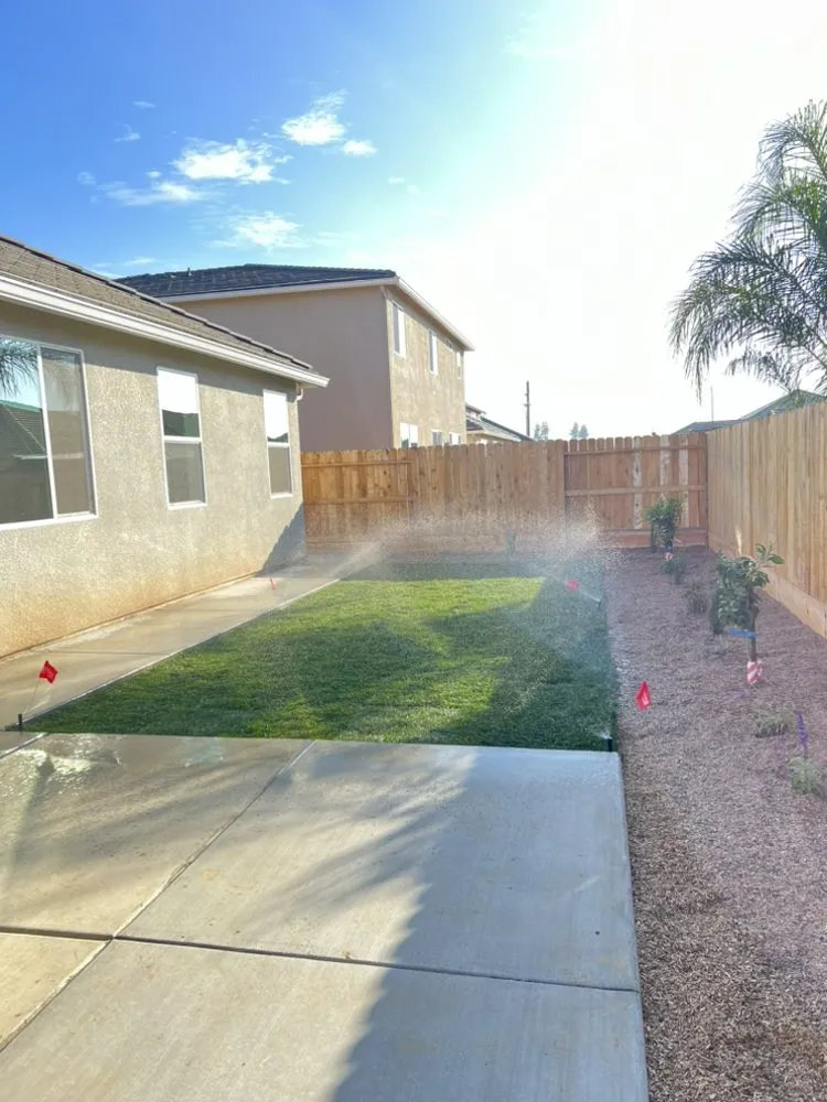 Reliable yard cleanup service for homes in Fresno, CA by Landscape Service Plus