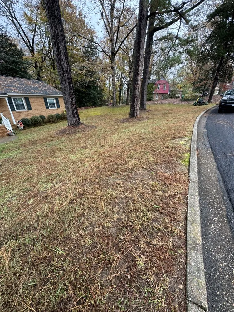 Reliable lawn care service in Sandston, VA by landscape service