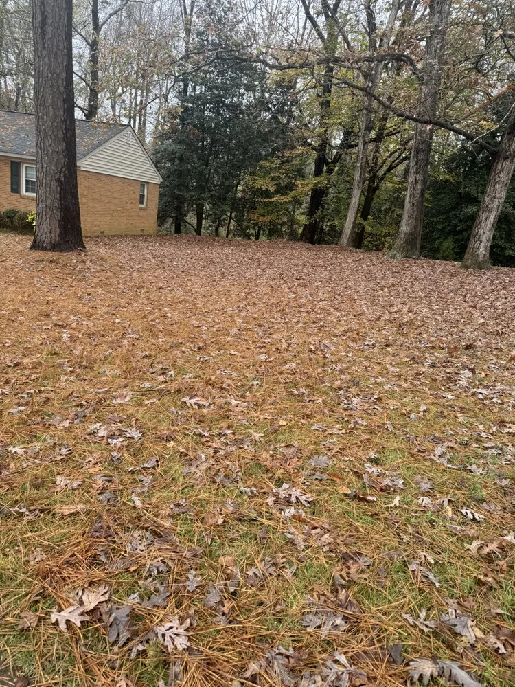 Professional lawn care service in Sandston, VA - landscape service