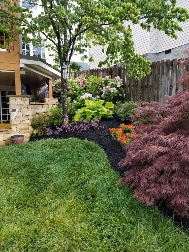 Reliable lawn care service for homes in Knoxville, TN by Landscape Services By Sean Harris
