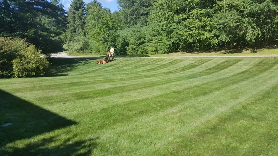 Local lawn care service with custom design in Milford, MA by Landscape Services