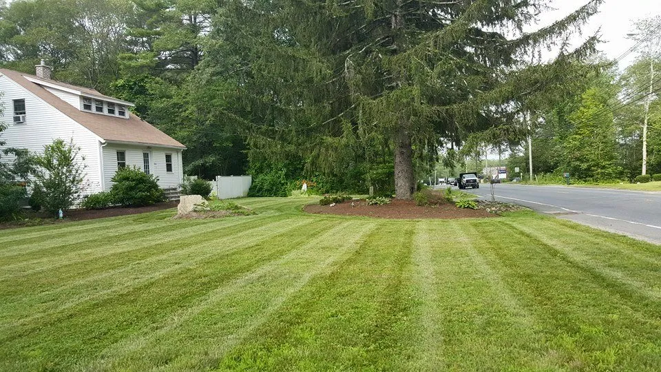 Local lawn mowing service for residential properties across Milford, MA - Landscape Services
