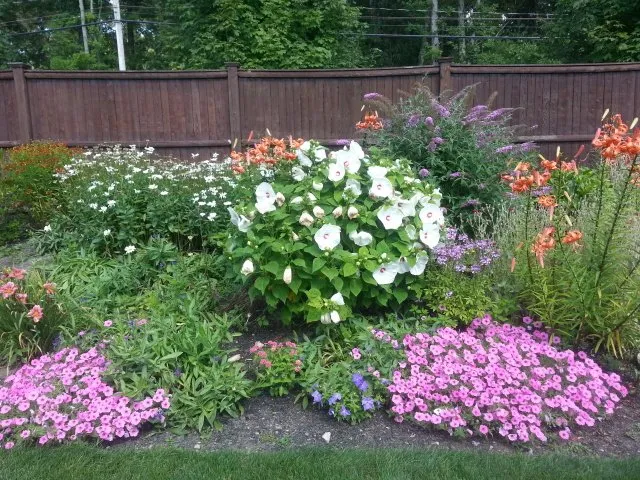 Custom yard maintenance in Milford, MA by Landscape Services