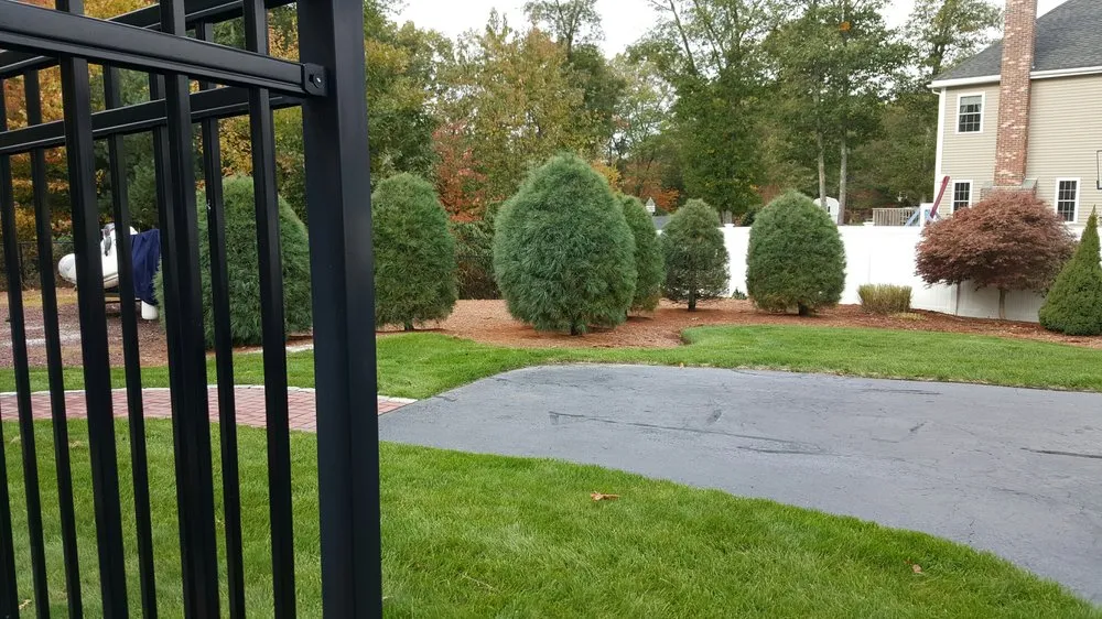 Professional yard maintenance in Milford, MA by Landscape Services