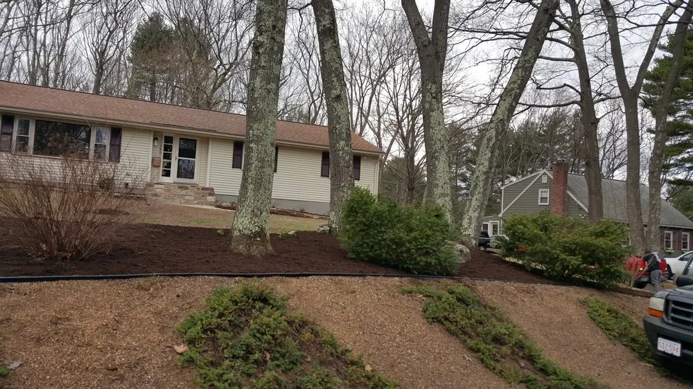 Trusted yard cleanup service experts serving Milford, MA - Landscape Services