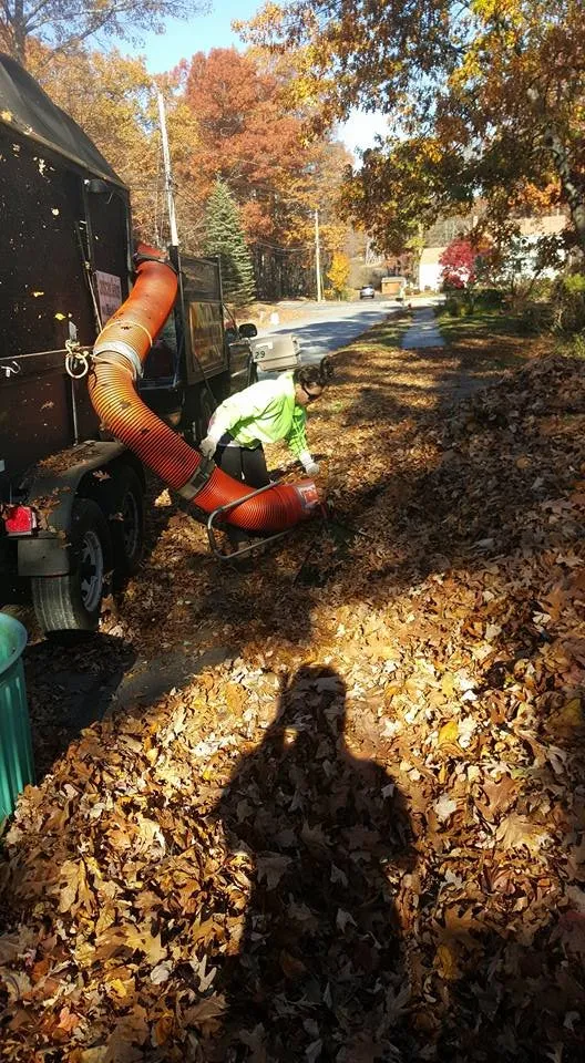 Custom landscape design in Milford, MA by Landscape Services