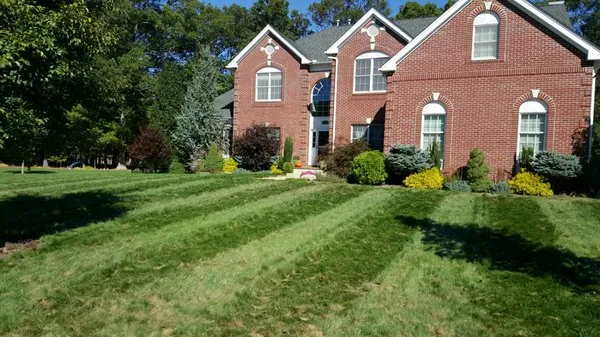 Landscape Services
