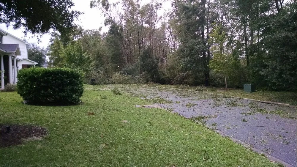 Reliable landscape installation in Bluffton, SC - Landscape Services of The Lowcountry