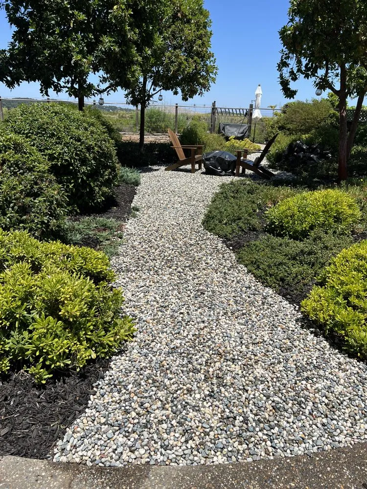 Local yard cleanup service in San Rafael, CA by Landscape Services