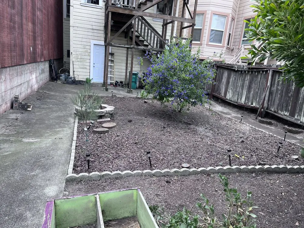 Top-rated outdoor landscaping in San Rafael, CA by Landscape Services