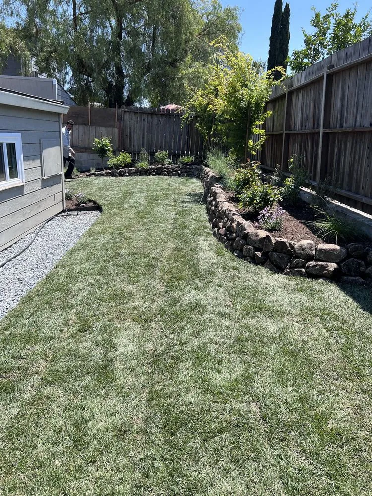 Trusted lawn mowing service experts serving San Rafael, CA - Landscape Services