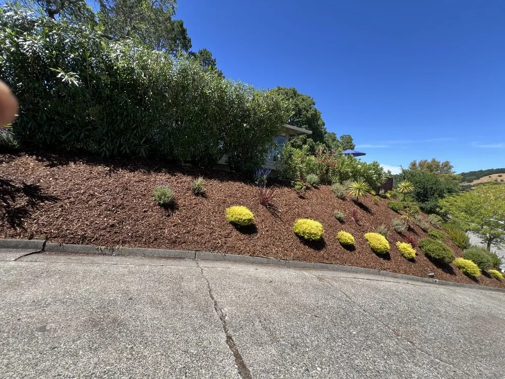 Custom residential landscaping in San Rafael, CA - Landscape Services