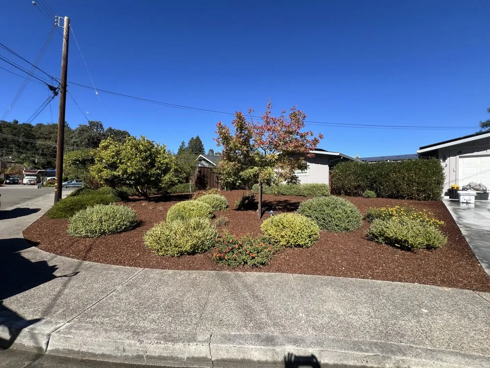 Professional outdoor landscaping in San Rafael, CA - Landscape Services