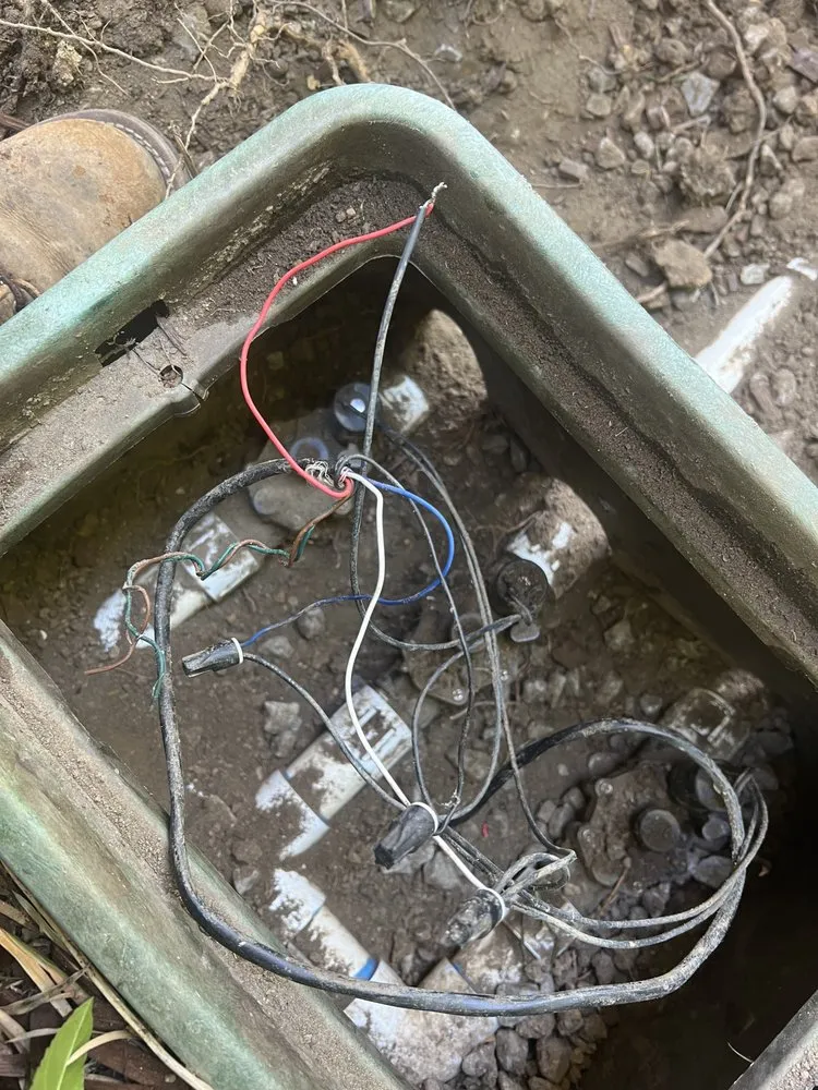 Top-rated landscaping services experts serving San Rafael, CA - Landscape Services