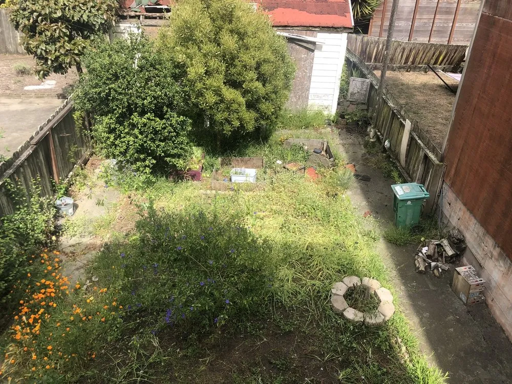 Affordable landscape installation for outdoor upgrades in San Rafael, CA by Landscape Services