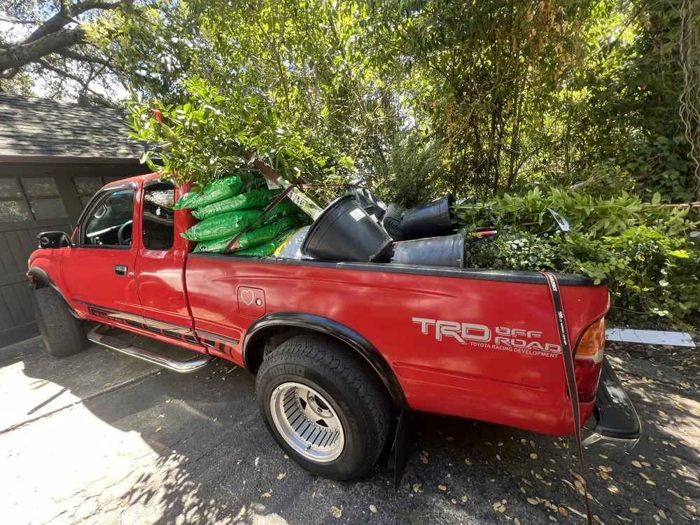 Local lawn care service near you in San Rafael, CA by Landscape Services