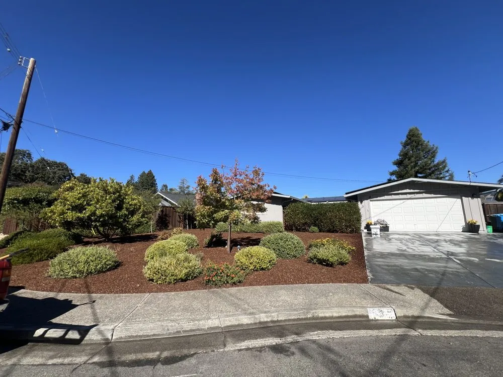 Expert landscape installation in San Rafael, CA by Landscape Services