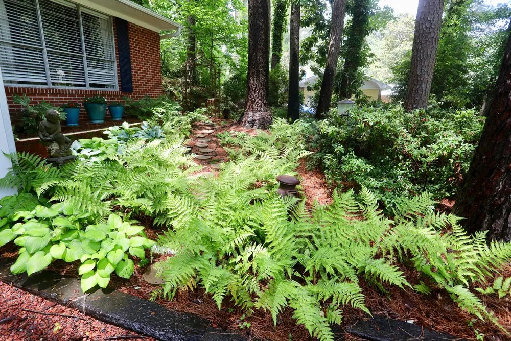 Expert garden landscaping experts serving Tupelo, MS - Landscape Services