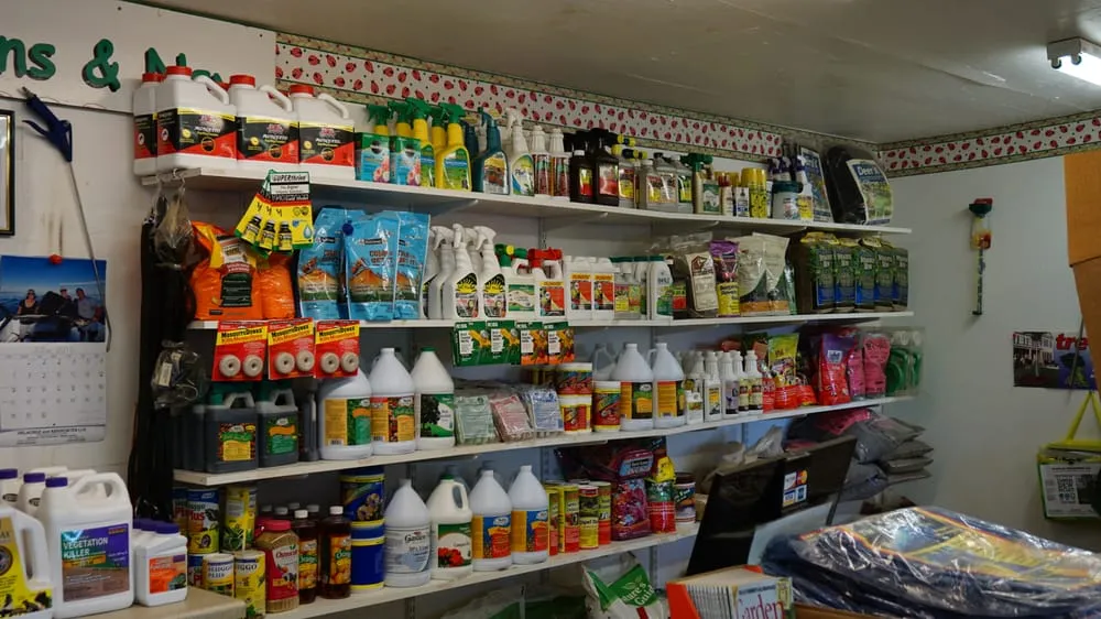 Affordable yard cleanup service in Castroville, TX by Landscape Solutions & Nursery